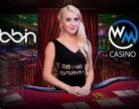 pg赚钱网站2024最新版